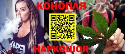 apvp Краснодар
