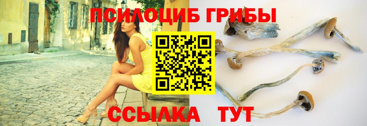 Галлюциногенные грибы Psilocybe  Вход с VPN  цена наркотик  Галлюциногенные грибы мухоморы  Удомля 